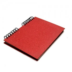 Caderno manacá