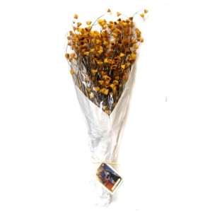 Flores de Santa Rita