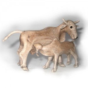 Balata – Bezerro mamando – PA